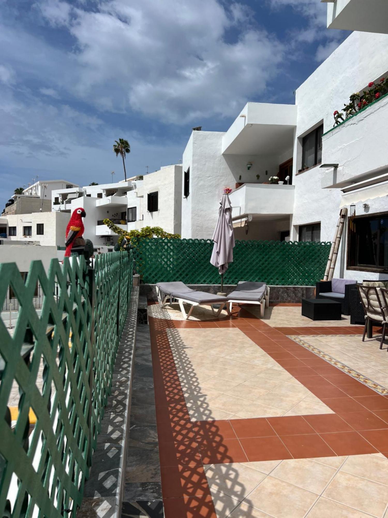 Lovely Apartment 2 Rooms With Big Terrace In Puerto Rico Пуэрто Рико Экстерьер фото